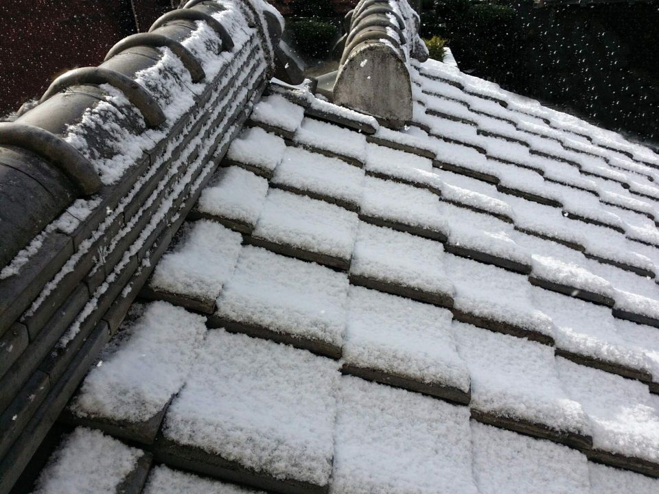 福岡市の多様な土地取引を支える不動産仲介の信頼と専門性について